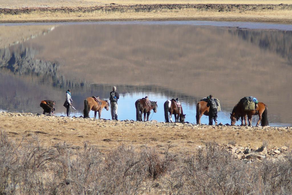 Golden Gobi Hostel & Tours Улан-Батор Екстер'єр фото