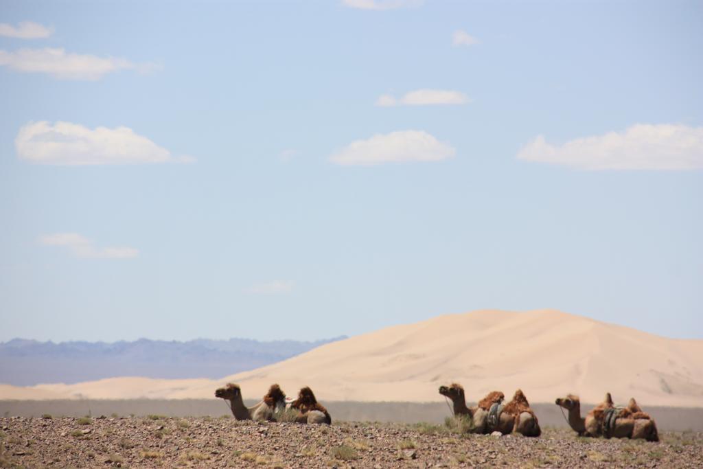 Golden Gobi Hostel & Tours Улан-Батор Екстер'єр фото