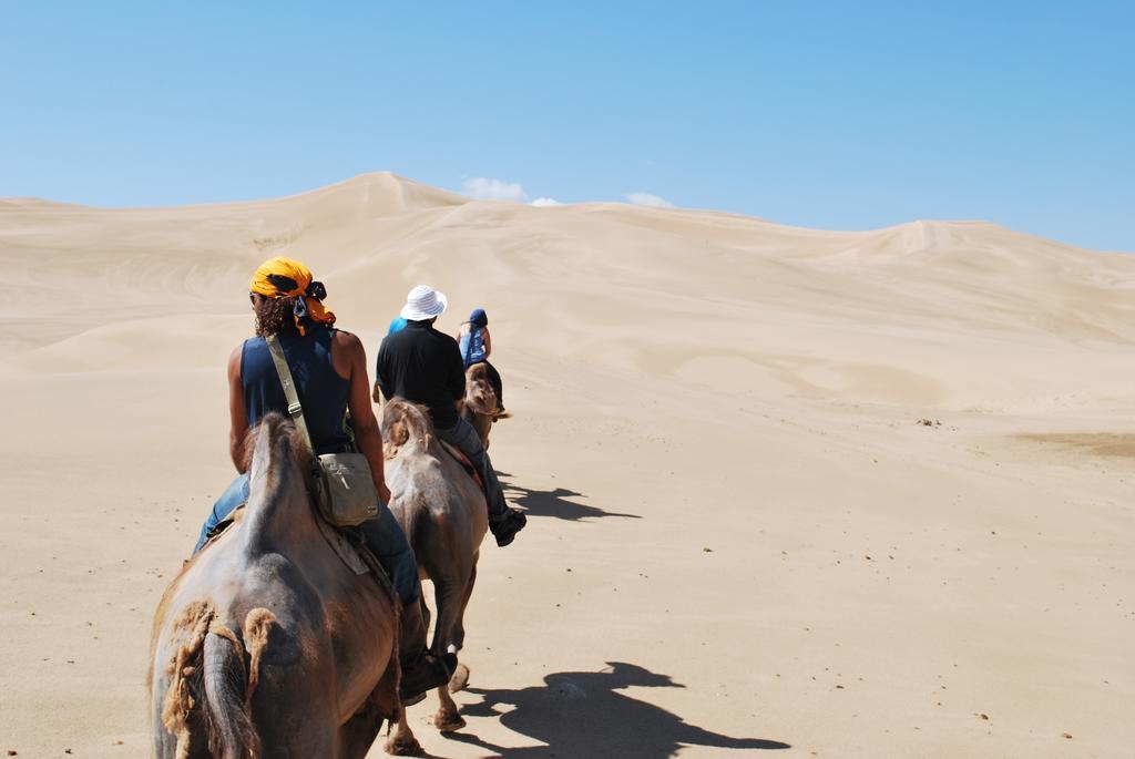 Golden Gobi Hostel & Tours Улан-Батор Екстер'єр фото