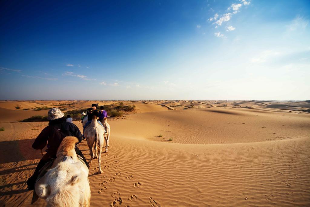 Golden Gobi Hostel & Tours Улан-Батор Екстер'єр фото